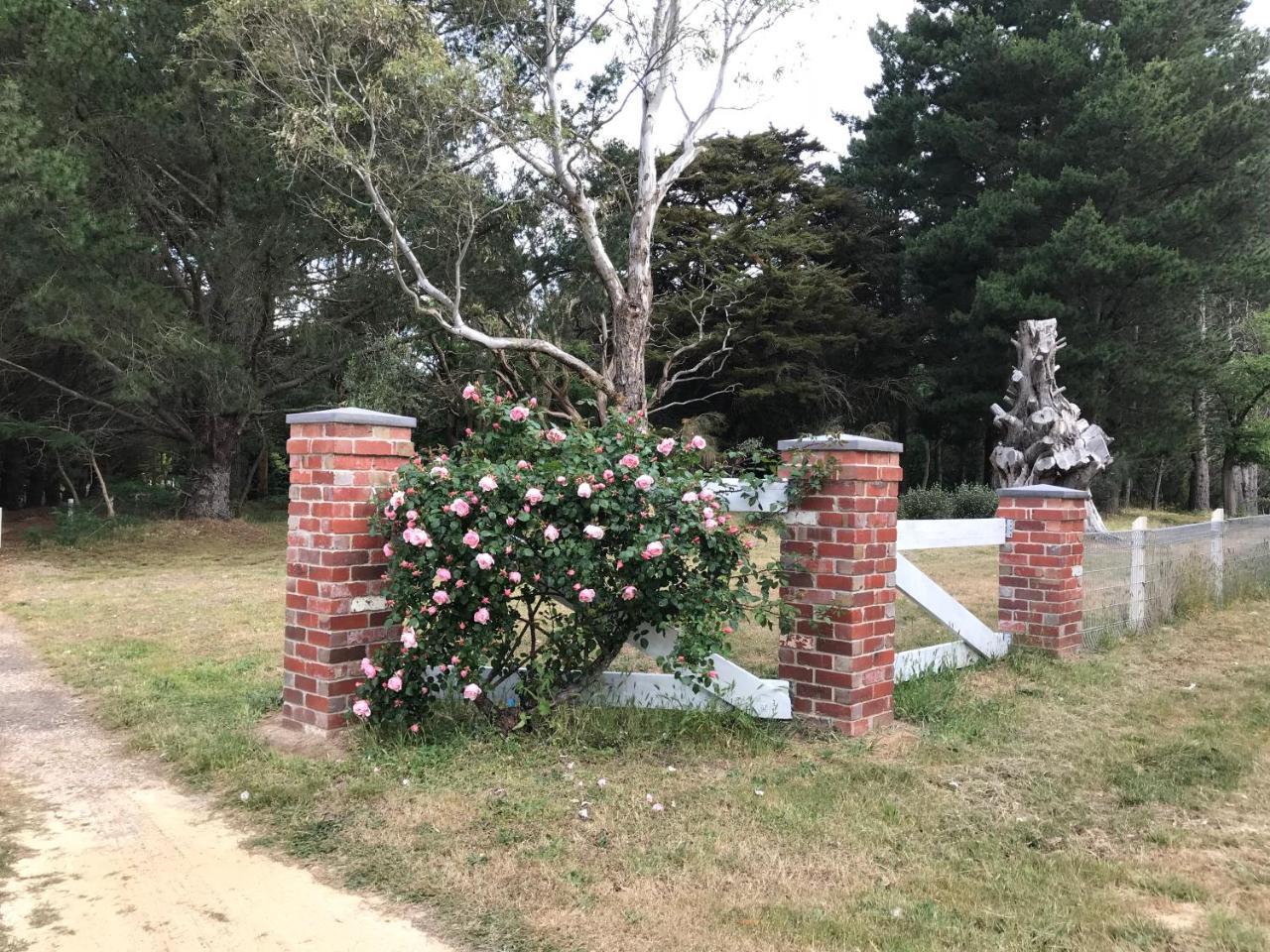 Helen'S Homestead Enfield Exterior photo